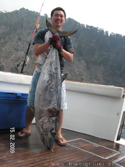 Andaman Islands dogtooth tuna on popping