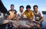 Pesca de Siluro Gigante de Mekong, lago de Bungsamran