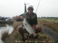 Top water lure fishing for Barramundi, Thailand