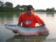 Fishing Arapaima in Thailand