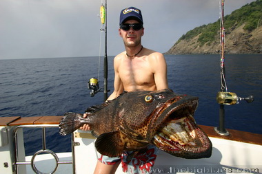 Andaman Islands, Giant Grouper