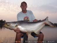 Giant Mekong Catfish, Bungsamran, Bangkok, Thailand