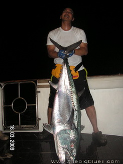 Andaman Islands Dogtooth tuna on jigging