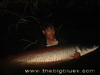 Pesca de Arapaima en Bangkok, lago de Bungsamran